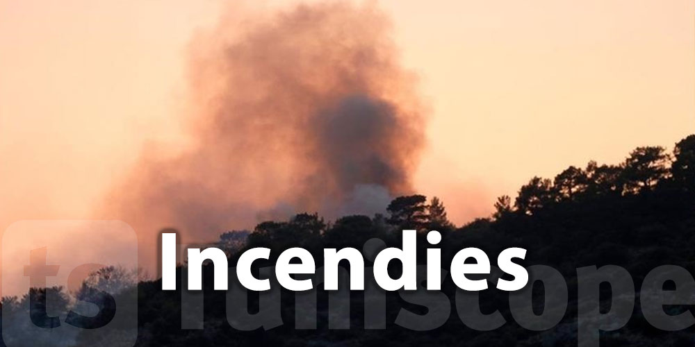 D'importants dégâts matériels suite aux incendies à Jendouba 