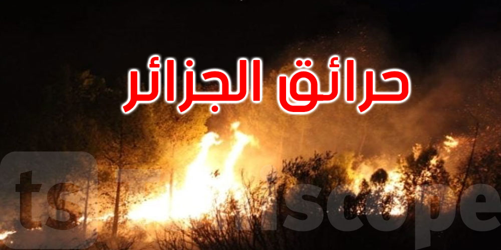 الجزائر: تبون يأمر بفتح تحقيق في الحرائق التي شهدتها عدة ولايات