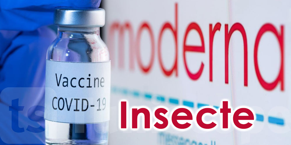 Près de 800 000 doses de vaccin Moderna rappelées après la découverte d'un insecte dans un flacon