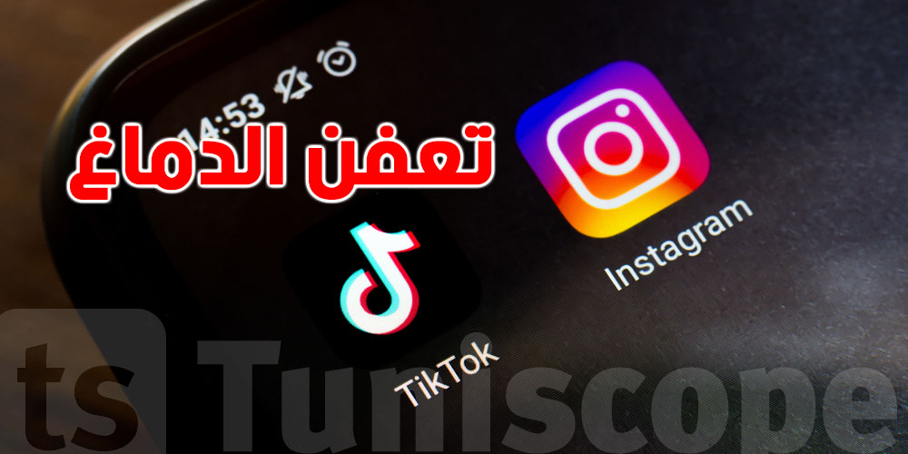 عاجل: الإفراط في الفرجة على الانستغرام والتيك توك يسبب ''تعفن الدماغ''