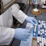 L’Institut Pasteur produit un nouveau vaccin contre la leishmaniose