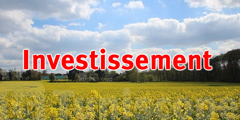 Nouvelle stratégie pour exploiter les terres domaniales et favoriser l’investissement