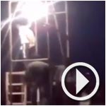 بالفيديو : محكوم بالإعدام في إيران يضرب جلاديه قبل تنفيذ الحكم