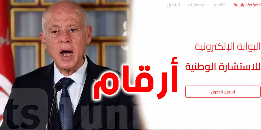 نسبة المشاركة في الاستشارة الإلكترونية ''هزيلة جدا''