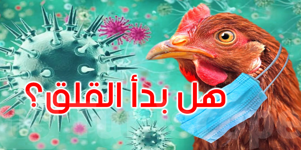 أول إصابة بشرية بإنفلونزا الطيور H9N2 في أوروبا.. هل نبدأ القلق؟