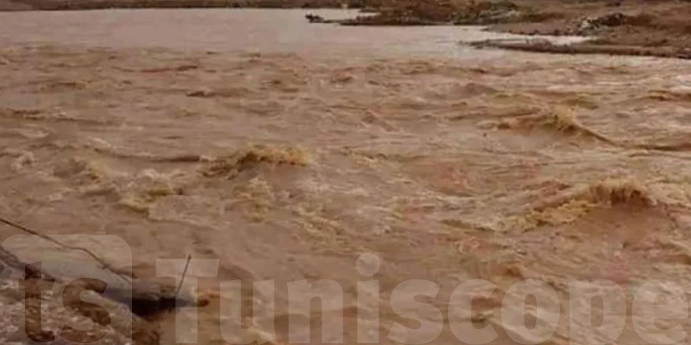 جندوبة : قطع طرقات بسبب فيضان وادي البربر