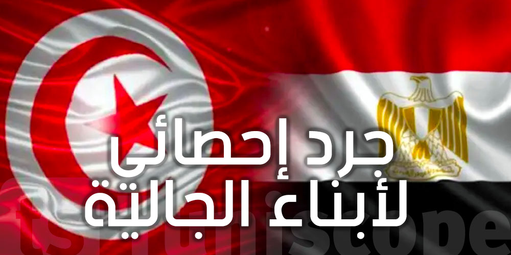  سّفارة تونس بالقاهرة تعتزم بجرد إحصائي لأبناء الجالية