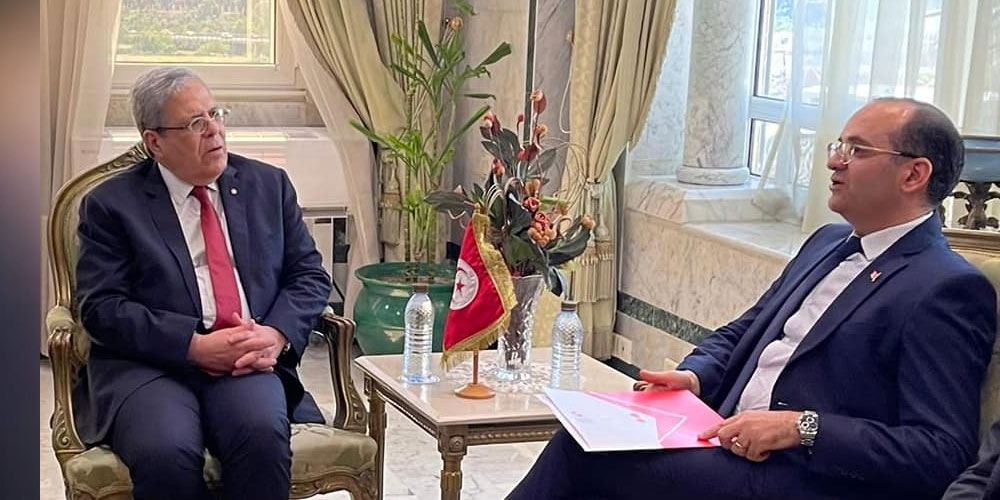 وزارة الخارجية تؤكد استعدادها لتأمين الإستفتاء الشعبي بالنسبة للتونسيين بالخارج 