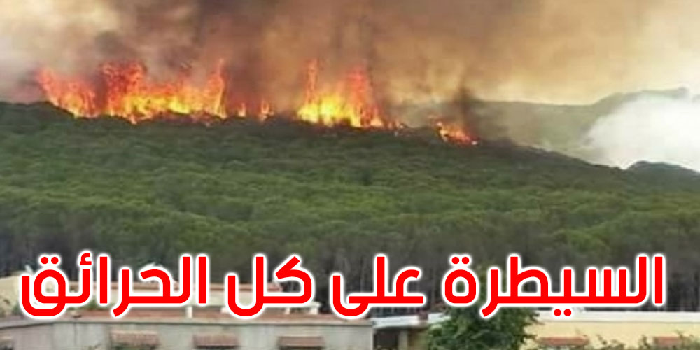 جندوبة: السيطرة على جميع الحرائق المندلعة بمنطقتي ملولة وبني مطير 