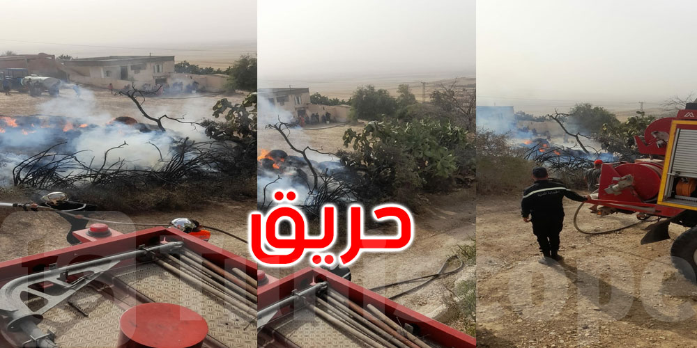 جندوبة: السيطرة على حريق بضيعة فلاحية
