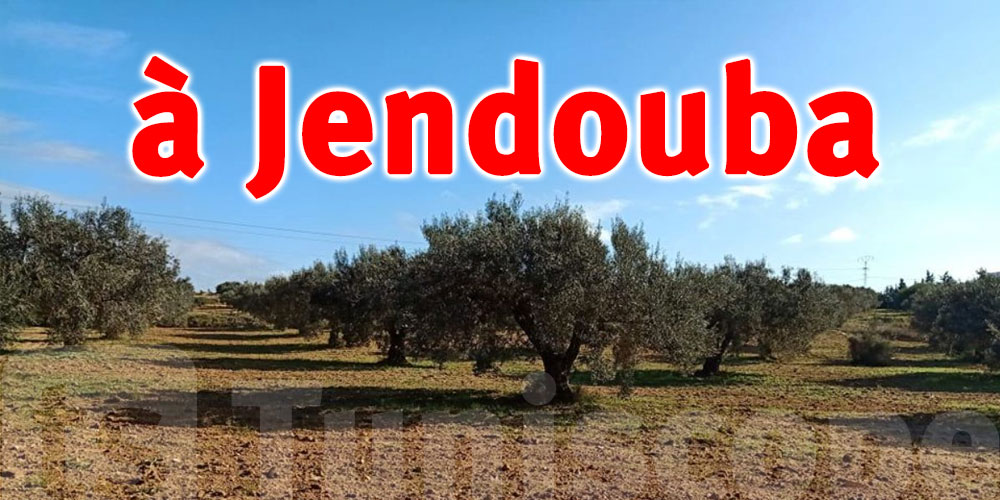 A Jendouba, un citoyen profite du confinement pour construire sur un terrain agricole