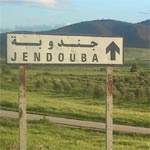 Renversement d’un camion à Jendouba : 15 ouvrières blessées