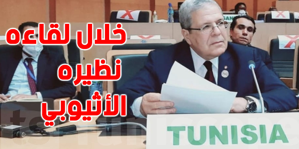 الجرندي يعبر عن رغبة تونس في توصل كافة الأطراف المعنية ''بسد النهضة'' إلى توافق