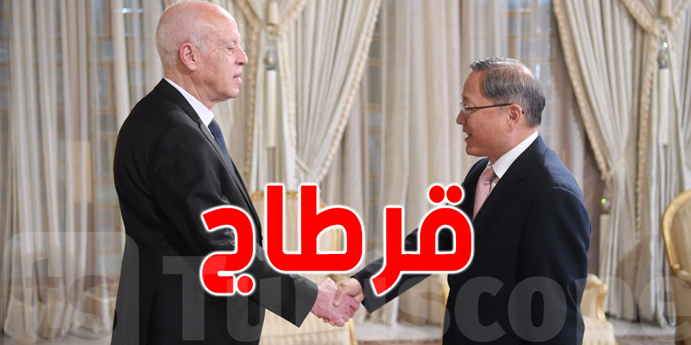 قيس سعيد يلتقي سفير الصين في تونس
