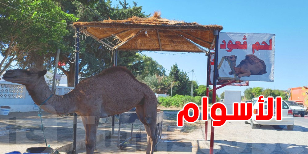 اقبال التوانسة على لحم ''القعود'' في هذه المنطقة بسبب انخفاض سعره