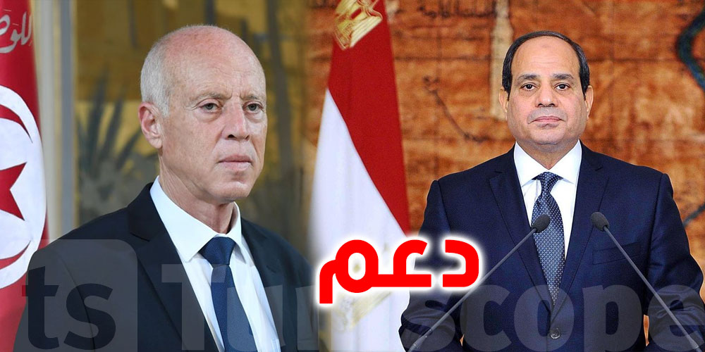 مصر والجزائر يؤكدان استمرار الدعم العربي للرئيس سعيّد