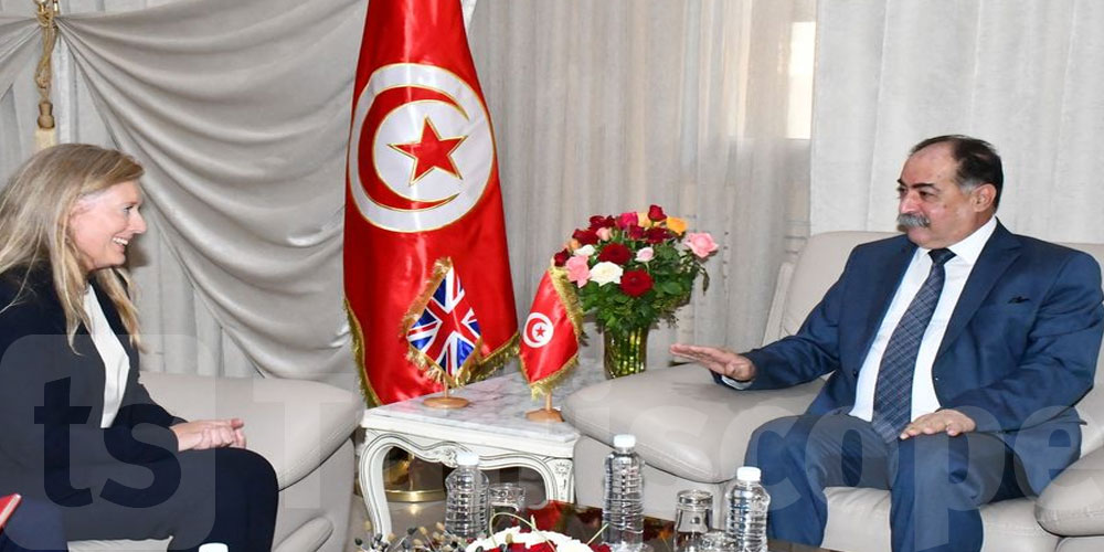 الهجرة غير النظامية ومكافحة الإرهاب محور لقاء وزير الداخلية وسفيرة المملكة المتحدة