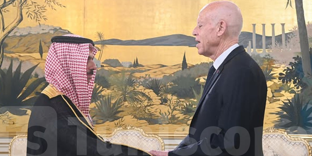 قيس سعيّد: الأمة العربية تعيش ''سايكس بيكو'' جديداً