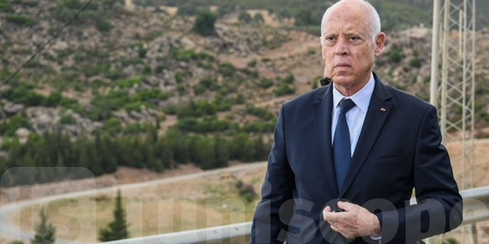 قيس سعيد: يحاولون التفويت في ملعب المنزه والصيدلية المركزية...لكن لن نسمح بذلك