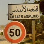 114 mille dinars pour la réalisation de travaux d'éclairage public à Kalaat Landlous