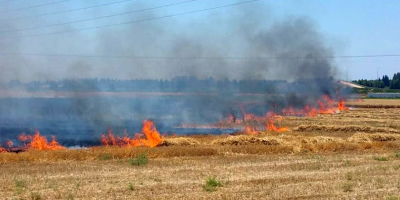 القيروان: إطفاء حريق بجبل الحلفاء