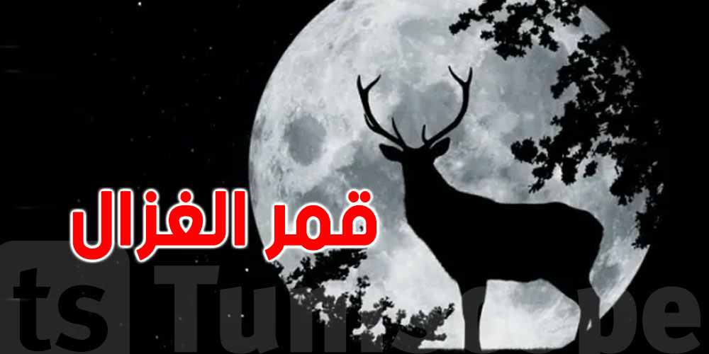 التوانسة الليلة على موعد مع ''قمر الغزال'': ماتفوّتش الفرصة