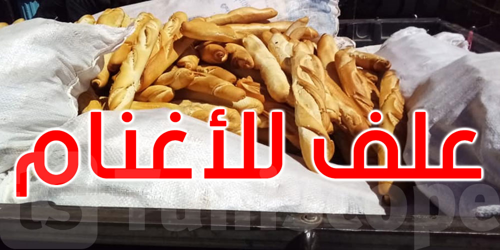 القصرين: ضبط عملية بيع كمية هامة من الخبز المدعم لاستعمالها عَلَفا للأغنام