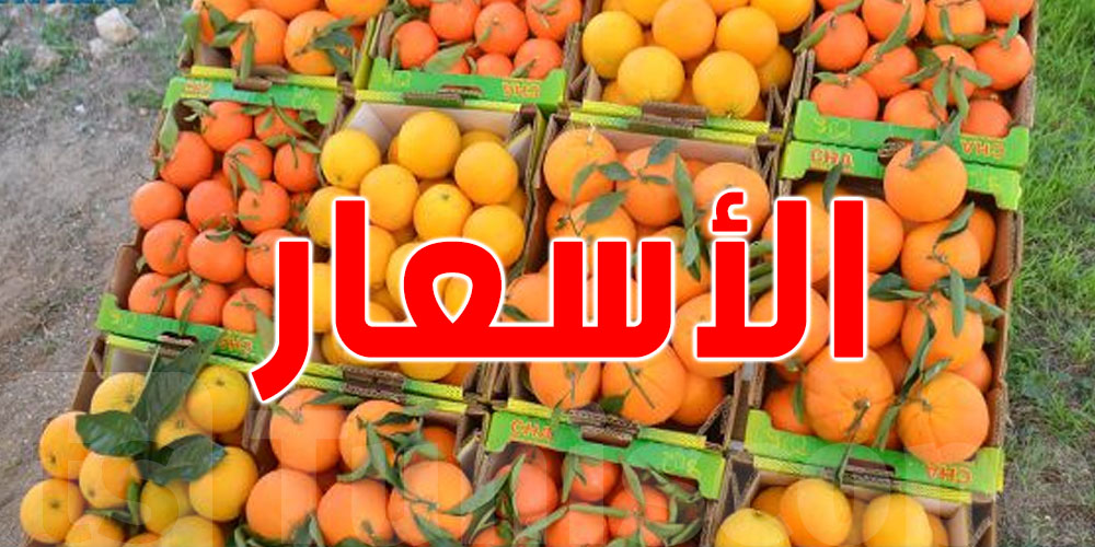 أسعار ''الكليمونتين'' للتوانسة بين 5 و6 دنانير فقط