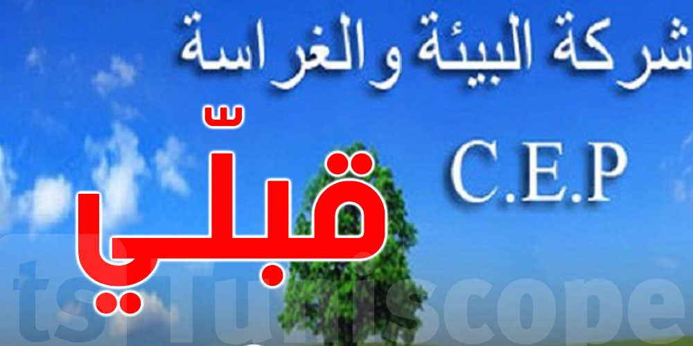 قبلي: العاملون في شركة البستنة يواصلون تحركاتهم الإحتجاجية