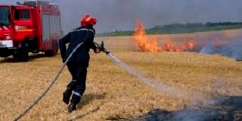 La série continue : Encore un incendie dans un champ de céréales au Kef