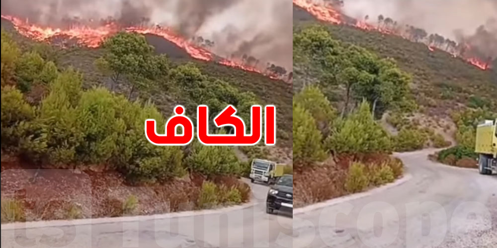 جبال الكاف تحت النار..شنّوة صار بالضبط؟