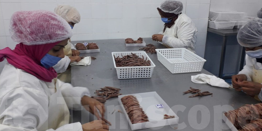 Kélibia : Inauguration d’une unité industrielle pour les produits de la mer