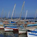 Kerkennah: 100 chalutiers partiront vers l'Italie pour protester contre les pêcheurs italiens