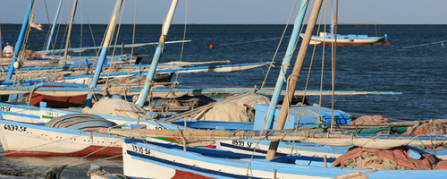 kerkennah-30122012-1.png