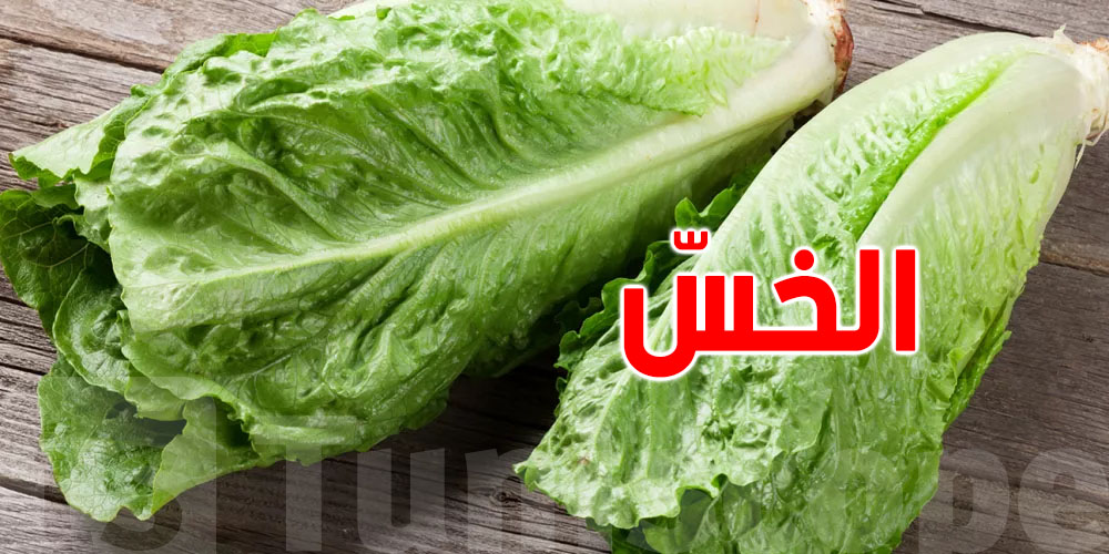 الخس في رمضان: إليك فوائده خاصة في السحور