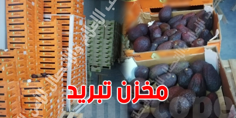 الموز، كيوي، أفوكا..حجز كميات كبيرة من الغلال بأحد مخازن التبريد