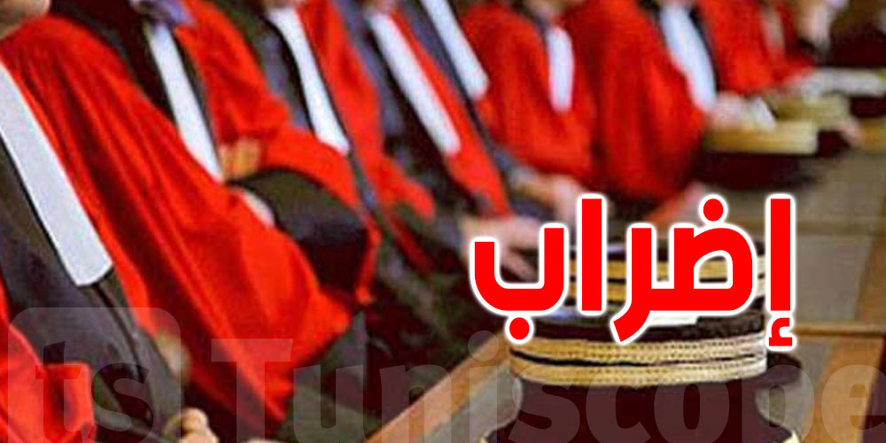 القضاة المعزولون يستعدّون لإضراب جوع