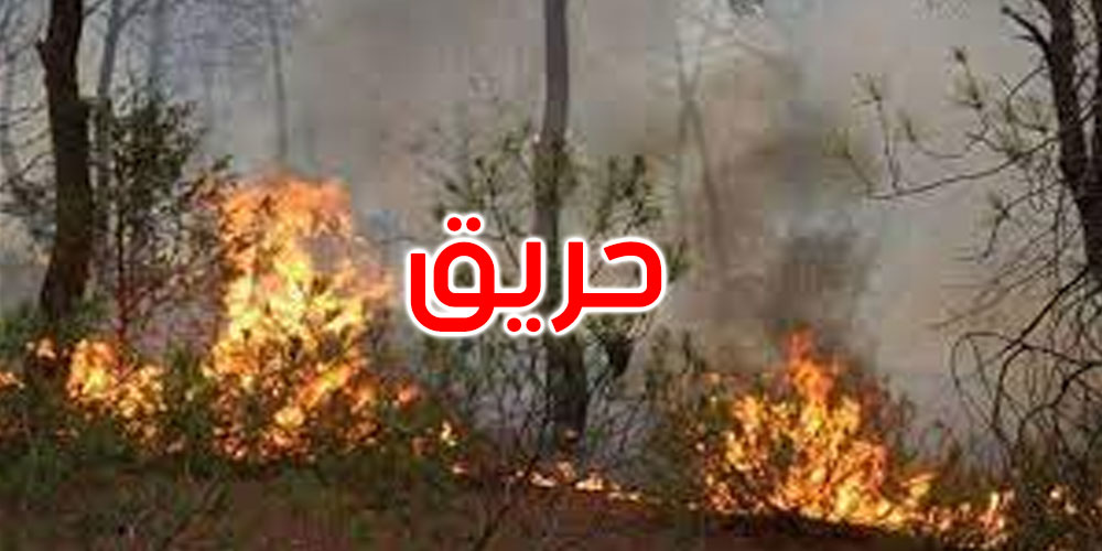 الكريب: تواصل الجهود للسيطرة على حريق جبل لشيهب 