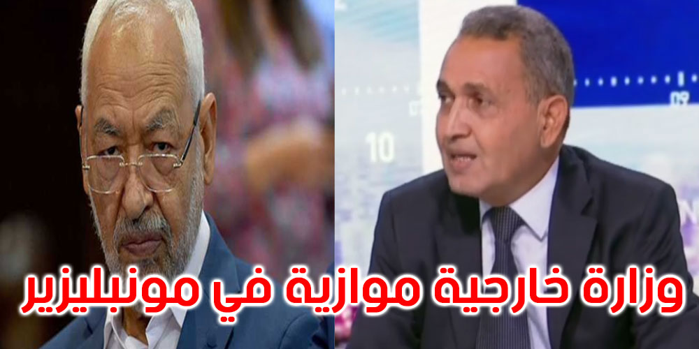 بالفيديو: سالم لبيض: راشد الغنوشي نصّب وزارة خارجية موازية في مونبليزير…