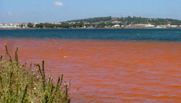 90 MD aide de l’Union Européenne pour la dépollution du lac de Bizerte