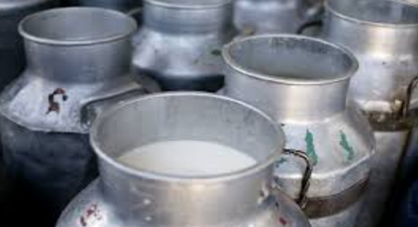 بنزرت: حجز 110 لترات من الحليب واللبن منتهية الصلاحية في مخزن عشوائي 
