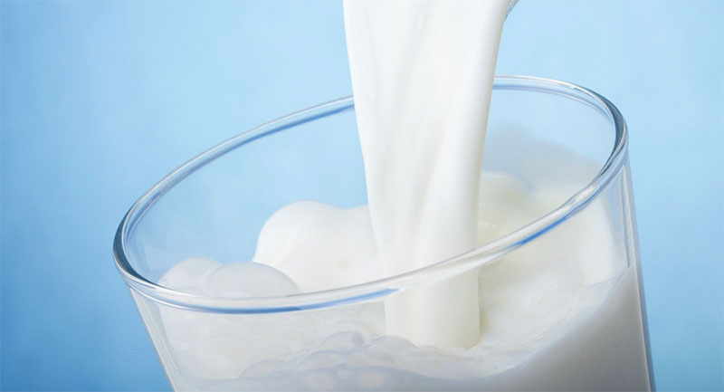 L’UTAP appelle à adopter une politique des prix réels, dans la filière du lait, à partir de janvier 2019