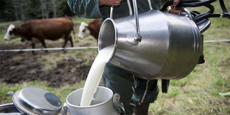 توقعات بزيادة 200 مليم في سعر اللتر الواحد من الحليب