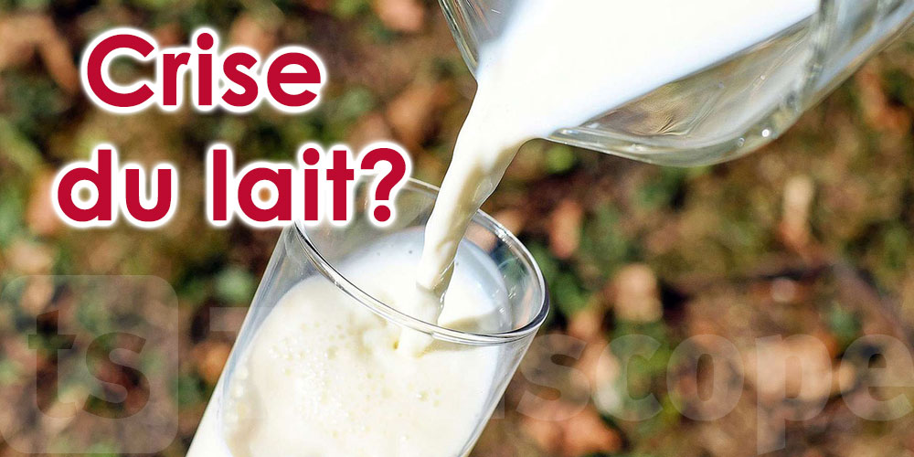 Tunisie: se dirige-t-on vers une crise du lait?