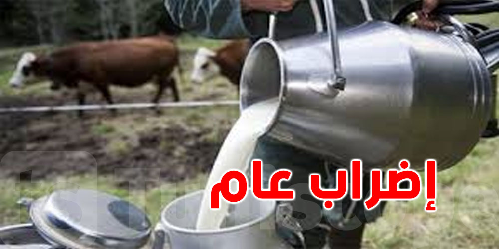 مهنيو منظومة الالبان ينفذون سلسلة من التحركات الاحتجاجية