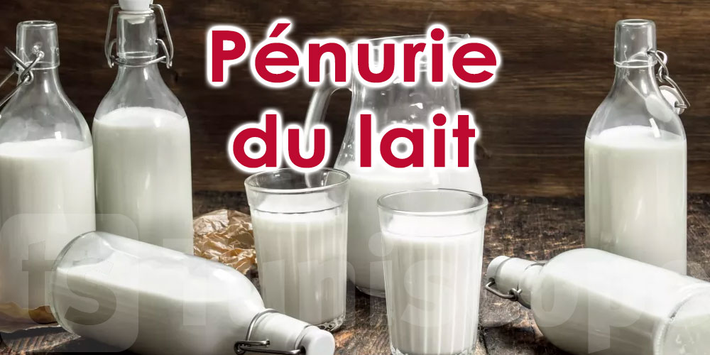 Tunisie: Précisions de la ministre du commerce concernant la pénurie du lait