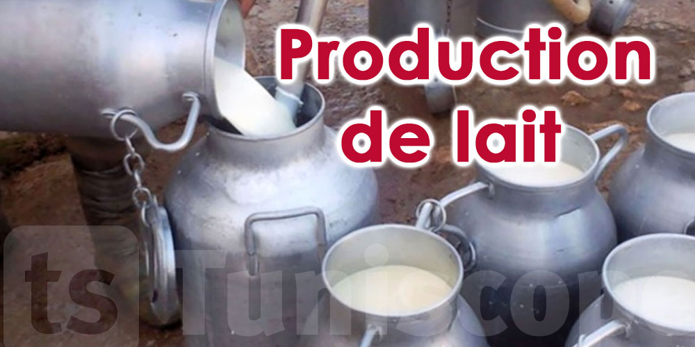Tunisie: La production de lait déjà en régression de 1,2% depuis juin 2022