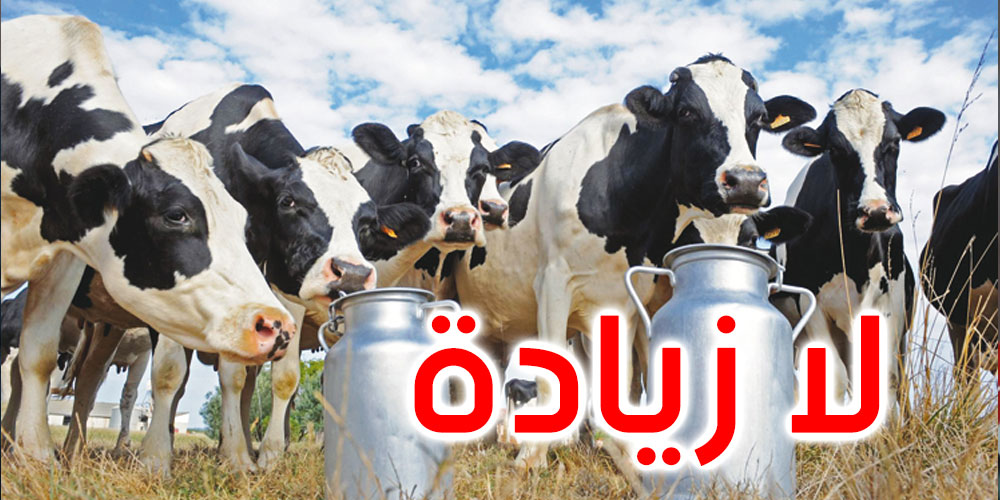وزير الفلاحة ينفي الزيادة في سعر الحليب 