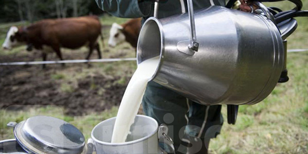 نقص في الحليب و الزبدة : نقابة الفلاحين تكشف للتوانسة هذه المعطيات 