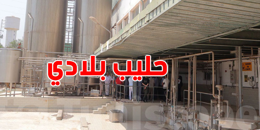 بعد سنين من التوقّف..''حليب بلادي'' راجع يخدم من جديد؟